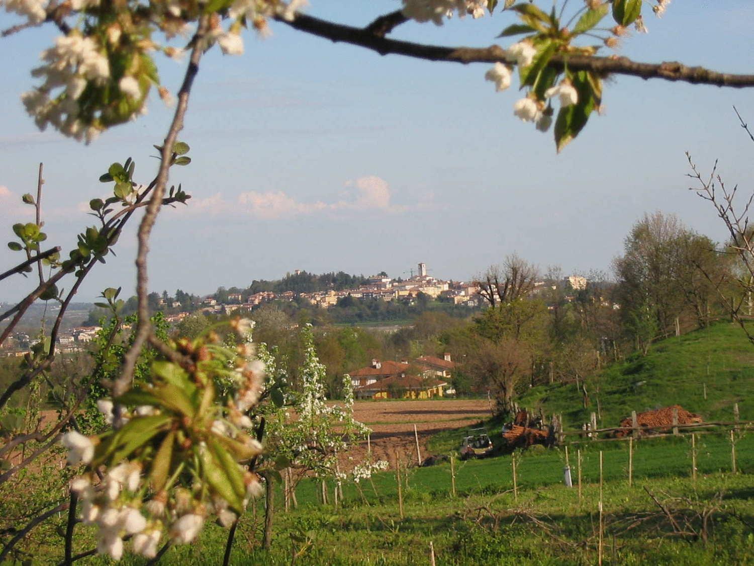 Agriturismo Casa Rossa Ai Colli Ragogna Luaran gambar